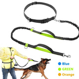 Retractable Hands Free Dog Leash With Optional Dual Handle